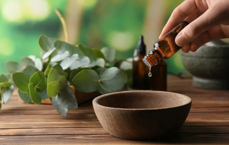 روغن ماساژ بدن مدل روغن درخت چای و روغن اکالیپتوس